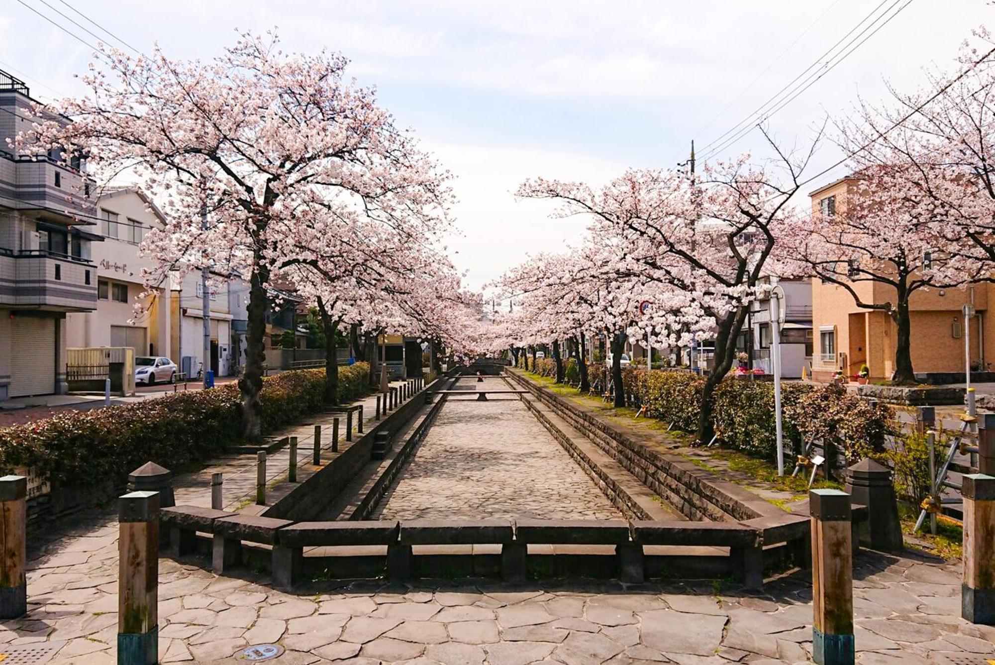 Sc Heights 106 公寓 *